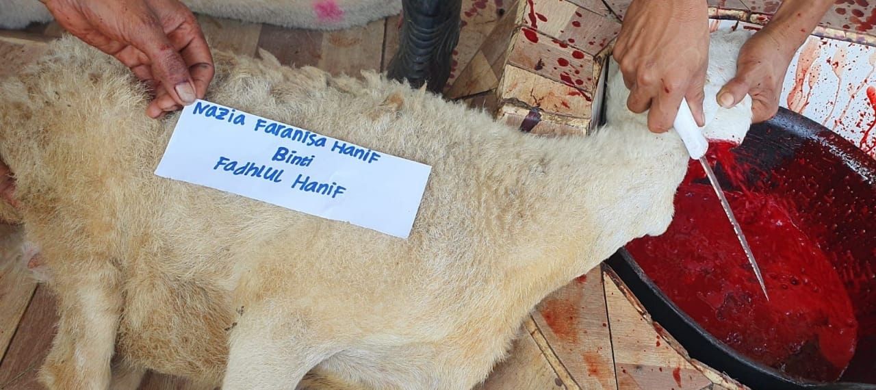 Dokumentasi Pemotongan Kambing Fatimah Aqiqah