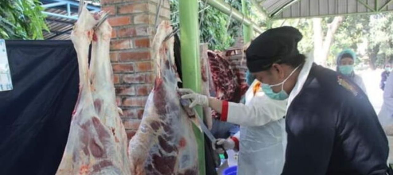 Dokumentasi Pemotongan Kambing Fatimah Aqiqah